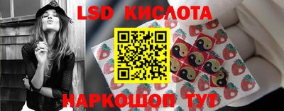 стаф Донской