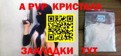 стаф Донской