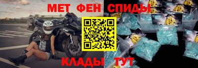 стаф Донской