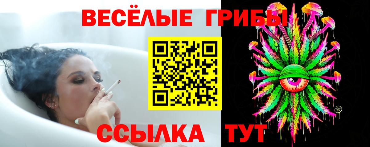 Псилоцибиновые грибы прущие грибы  Псилоцибиновые грибы мицелий  Новороссийск  Вход с VPN 