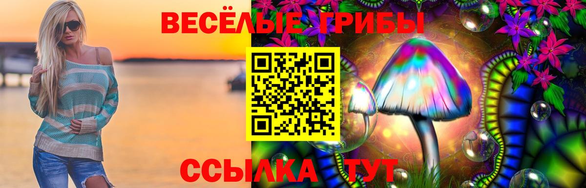 Галлюциногенные грибы Psilocybine cubensis Новороссийск