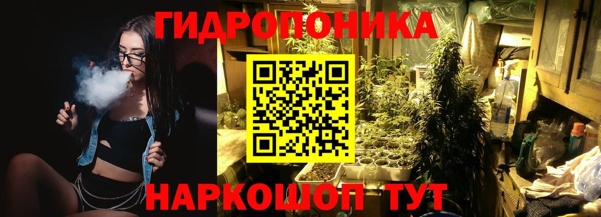 Конопля ГИДРОПОН  Вход с VPN  Канабис OG Kush  Новороссийск  Конопля White Widow 